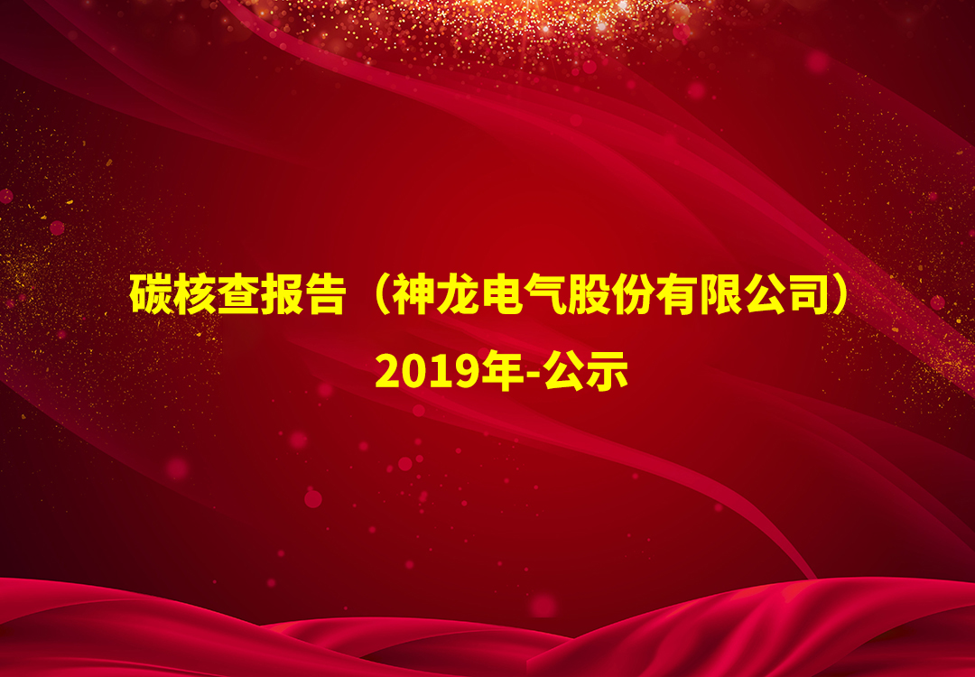 碳核查報告（神龍電氣股份有限公司）-2019年-公示